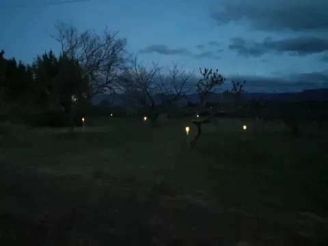 nuit antre des vices