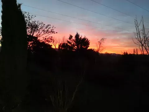 nuit antre des vices