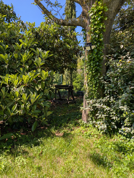 printemps antre des vices