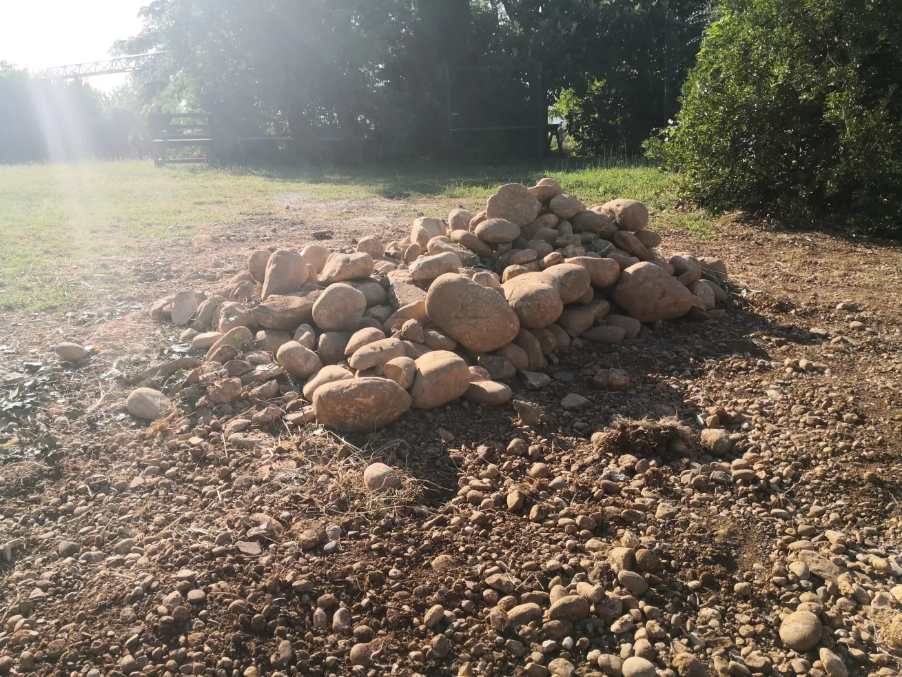 IMG_20240718_090619.webp IMG_20240718_090619.webp